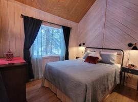 Denali Wild Stay - Muskrat cabin, private, free wifi, free parking, sleep 4, ξενοδοχείο σε Healy