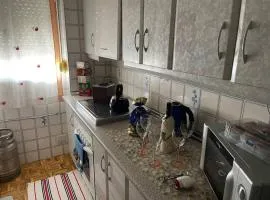 Encantador apartamento acogedor
