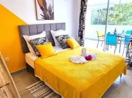 Appartement 2 chambres, avec jardin, grande terrasse, Barbecue, 8 min du centre ville