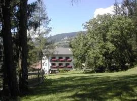 SAN PIETRO DOLOMITI Small Budget Hotel