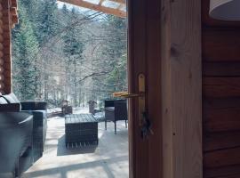 Voronins Retreat House, hotel in Lumshory