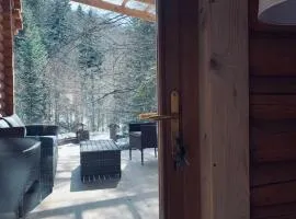 Voronins Retreat House