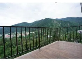 Borjomi-Likani Premium Apartments