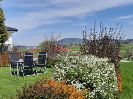 Ferienwohnung Wallersee, hotel in Neumarkt am Wallersee