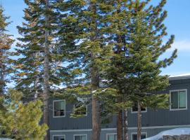 Tahoe Trail Resort, hotel near Mott Canyon, Stateline