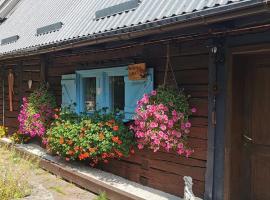 Wsiowa Chata，位于Ścinawka Górna的酒店