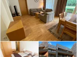 Golden Fox Apartment Pohorje