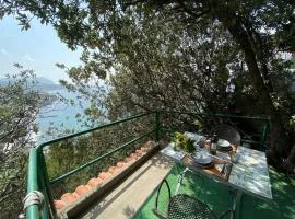 Le Dimore di Zaro - Green Paradise