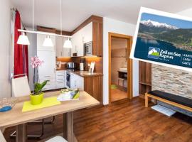 Appartement Pension Albert summercard and free parking included, hostal o pensi&oacute;n en Zell am See