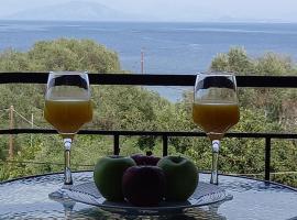 Agia Pelagia seaview Apartment 2、Agia Pelagia Chlomouのバケーションレンタル