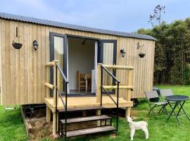 Shepherds hut with a hot tub, hotel in Bodmin