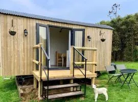 Shepherds hut with a hot tub