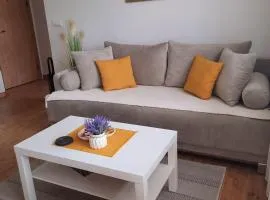 Bankovic Apartman