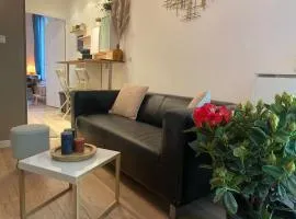 Magnifique appartement T2 aux portes de Paris