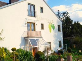 Hotel Garni Zur Traube, ξενώνας σε Höhr-Grenzhausen