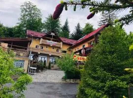 Pensiunea Casa Dana