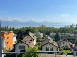 Lake view Lausanne