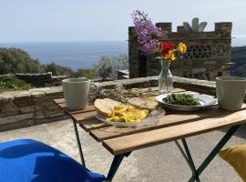 Andros Vineyard house with sea view, cheap hotel in Sinétion