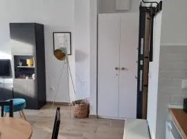 Apartman Nana Divčibare