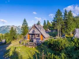 Chalet Encijan - Velika planina