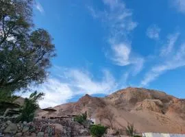 The Bedouin Moon