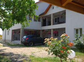 Casa Dana, casa per le vacanze a Tăşnad