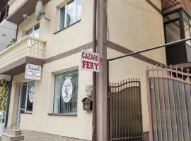 Casa Fery, holiday home in Băile Herculane