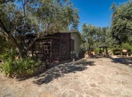 Casa Lilliu
