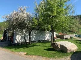 Ferienwohnung Waldköhlerei