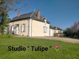 studio ''tulipe'' dans le Berry, apartment in Les Bordes