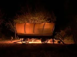 Cozy Wild West Covered Wagon next to River