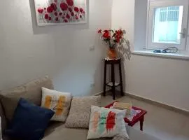 Casa marlene