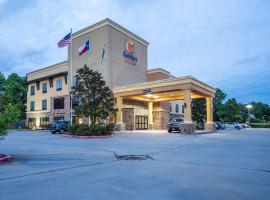 Comfort Suites Old Town Spring, hotel near Splashtown Waterpark, Spring