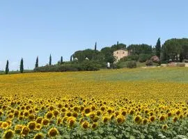 Il vecchio seccatoio