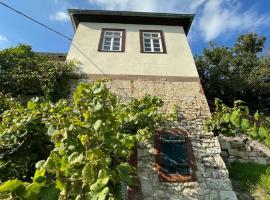 Ferienhaus Traminer im Weinberg, holiday home in Freyburg