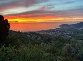 Tenuta La Panoramica