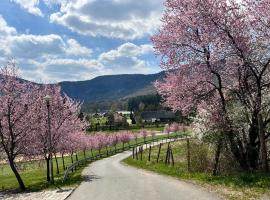 Stolove Chatki Radków, готель у місті Радкув