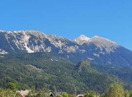 Apartma Dana-Brinjtesa, khách sạn ở Jesenice