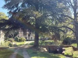 Le moulin du Mesnil