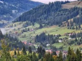Pensiunea Casa Fierarul din Bucovina