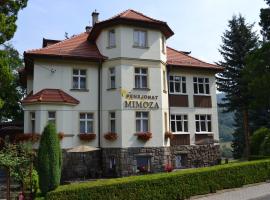 Pensjonat Mimoza, khách sạn ở Świeradów-Zdrój