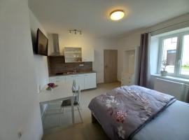 Penzion U strejčků, hotel v destinaci Veselí nad Lužnicí
