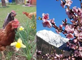 DETENTE NATURE rando, ski , thermes