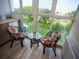 Molex Apartments 2, holiday rental in Chernihiv