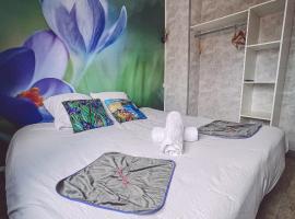 Van Gogh gare By Joyca Chambre privée, guest house in Épinal