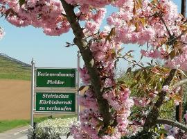 Ferienwohnung Pichler, Ferienwohnung in Leibnitz