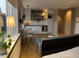 Studio apartment in Hafnarfjordur, hotel near Keilir Golf Club, Hafnarfj&ouml;r&eth;ur