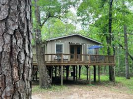 2 BDRM Treehouse Hideout- Lake Conroe with Boat ramp, ξενοδοχείο σε Montgomery