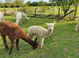 Dartmoor Reach Alpaca Farm Heated Cabins, hotel in Bovey Tracey