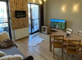 Dziki Apartament Panorama Gór, Duży Taras z Widokiem na Góry